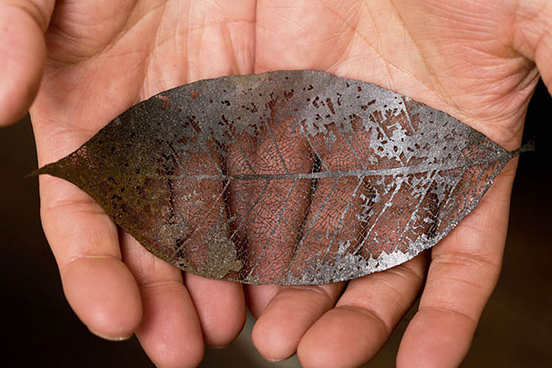 hand-cut-leaf